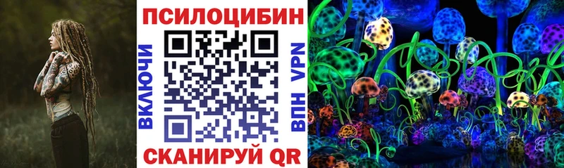 Галлюциногенные грибы прущие грибы  хочу наркоту  Чекалин 