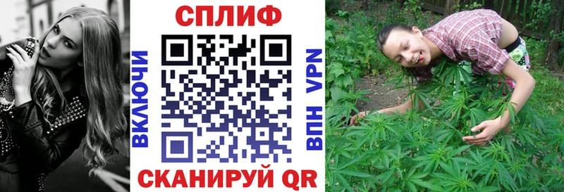 МАРИХУАНА семена  Чекалин 